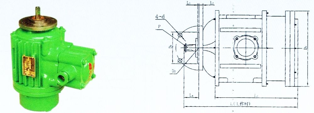 BZDY系列防爆電動(dòng)葫蘆運(yùn)行電動(dòng)機(jī)與外形尺寸安裝圖.jpg